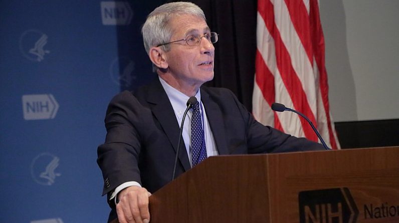 Fauci Corruption